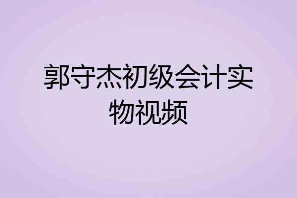 郭守杰初级会计实物视频