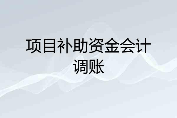 项目补助资金会计调账