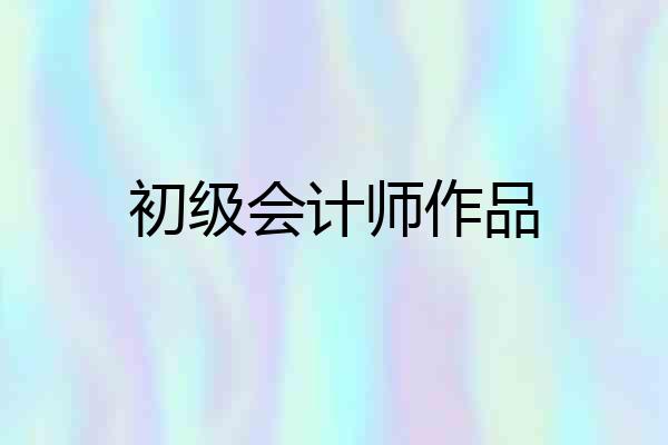 初级会计师作品