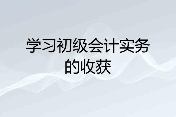 学习初级会计实务的收获