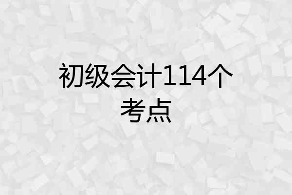 初级会计114个考点