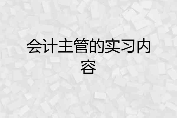 会计主管的实习内容