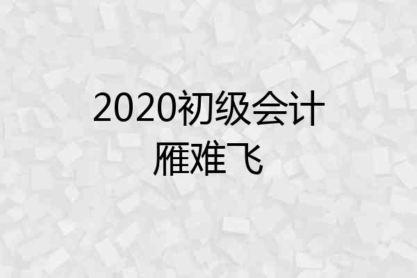 2020初级会计雁难飞
