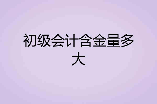 初级会计含金量多大