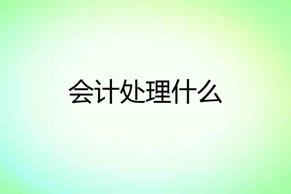 会计处理什么