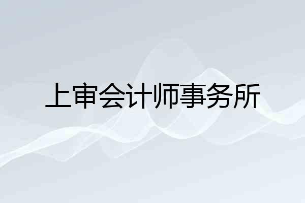 上审会计师事务所