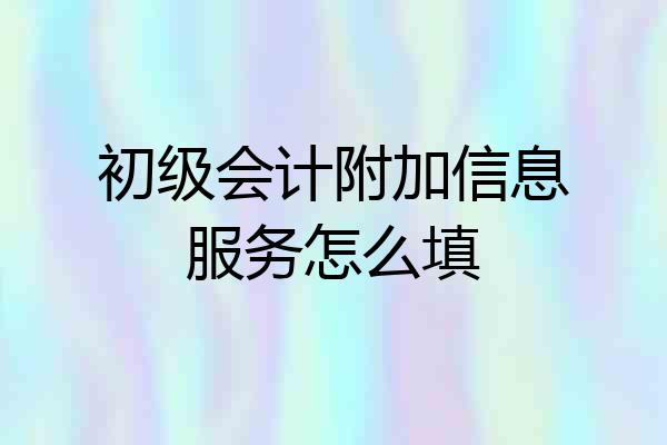 初级会计附加信息服务怎么填