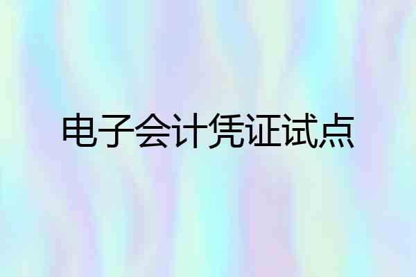 电子会计凭证试点