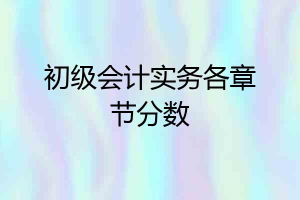 初级会计实务各章节分数