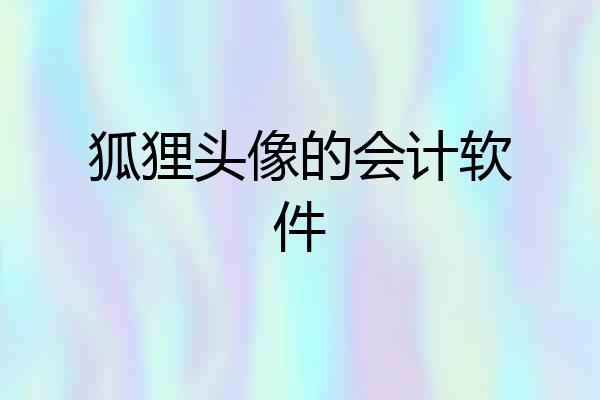 狐狸头像的会计软件