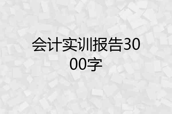 会计实训报告3000字