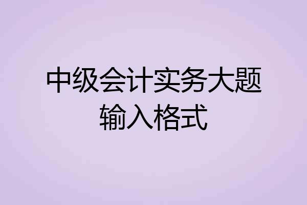 中级会计实务大题输入格式