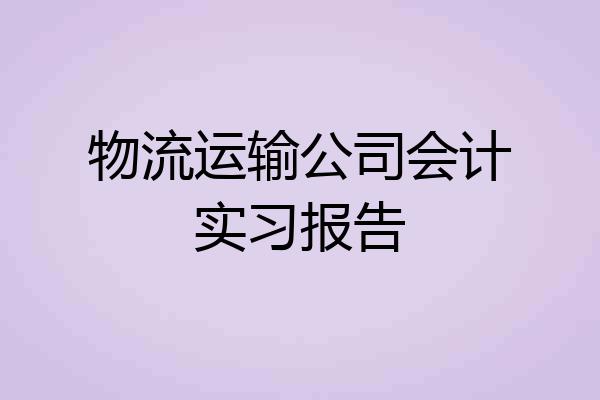 物流运输公司会计实习报告