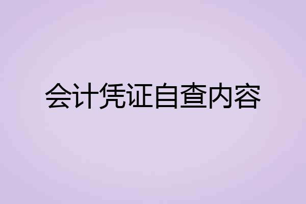会计凭证自查内容