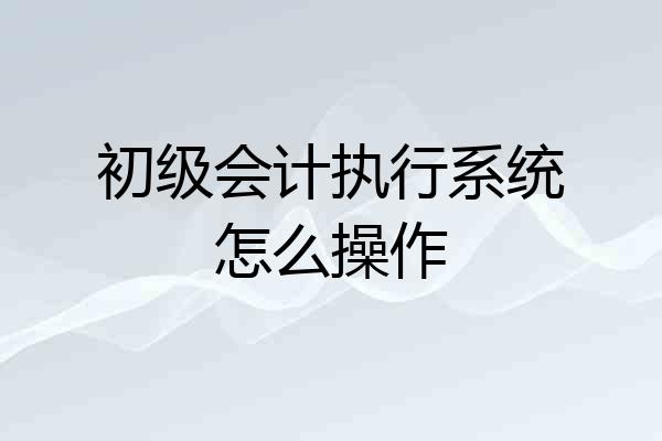 初级会计执行系统怎么操作