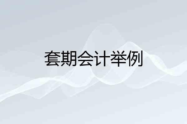 套期会计举例