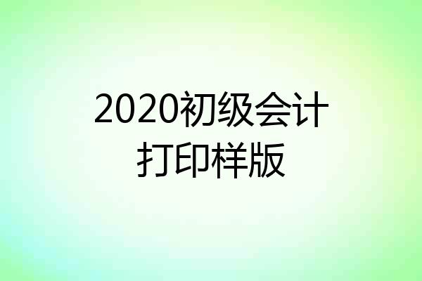 2020初级会计打印样版