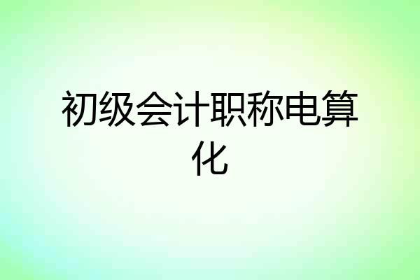 初级会计职称电算化
