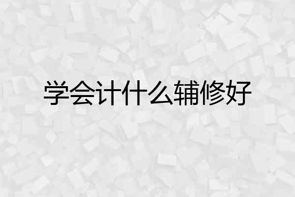学会计什么辅修好