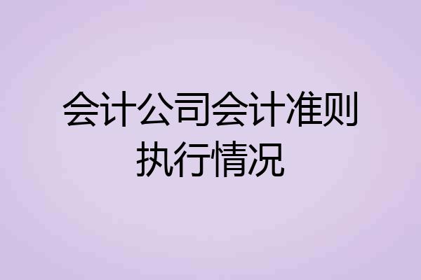 会计公司会计准则执行情况