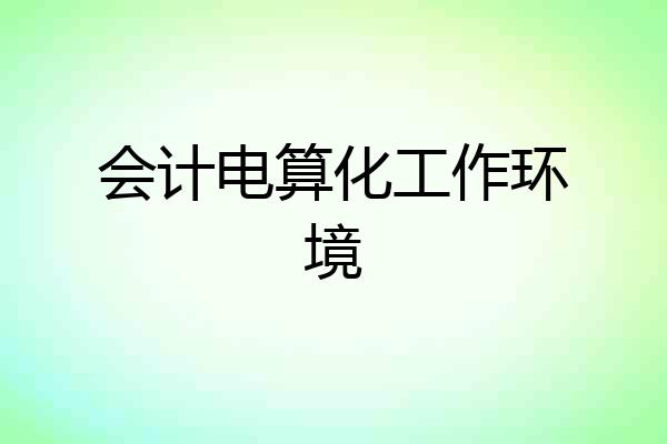 会计电算化工作环境