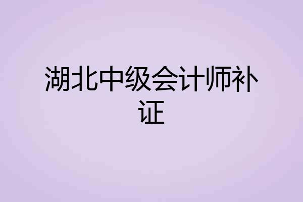 湖北中级会计师补证