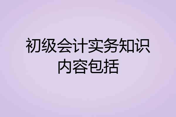 初级会计实务知识内容包括