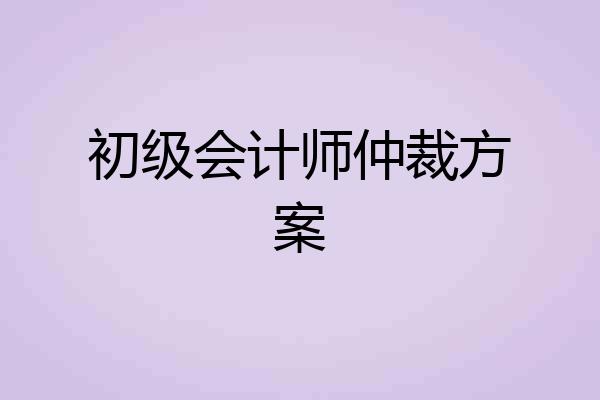 初级会计师仲裁方案