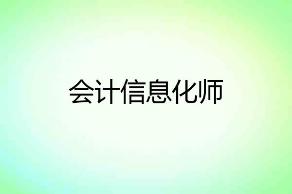 会计信息化师