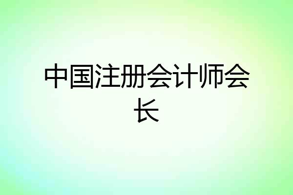 中国注册会计师会长