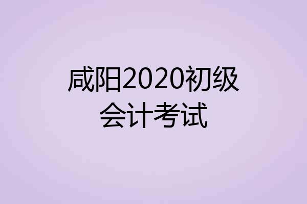 咸阳2020初级会计考试