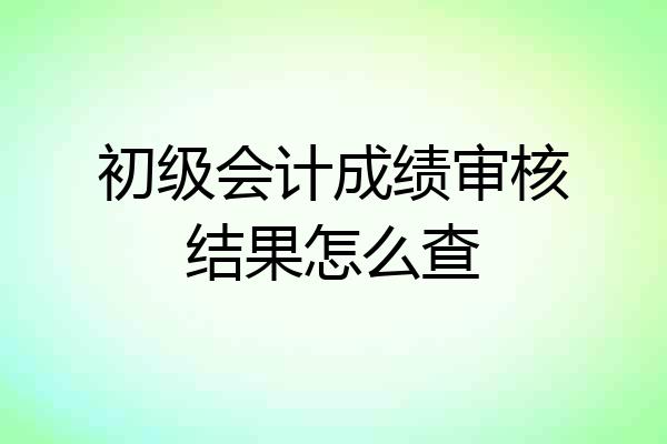 初级会计成绩审核结果怎么查