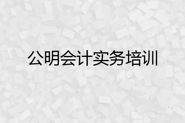 公明会计实务培训