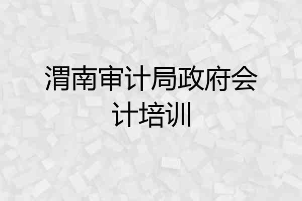 渭南审计局政府会计培训