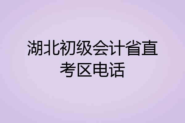 湖北初级会计省直考区电话