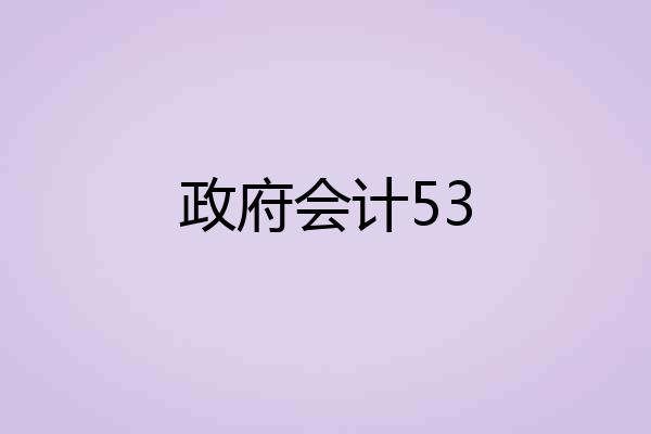 政府会计53