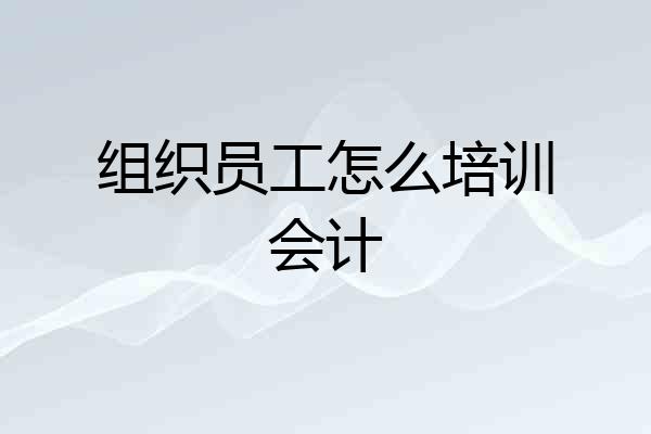 组织员工怎么培训会计