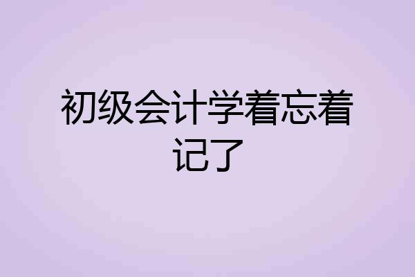 初级会计学着忘着记了