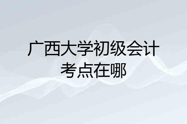 广西大学初级会计考点在哪