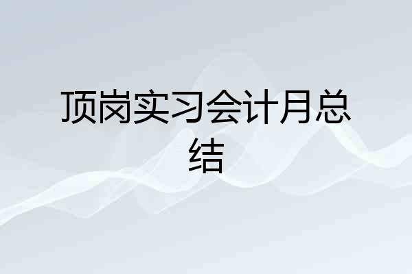顶岗实习会计月总结