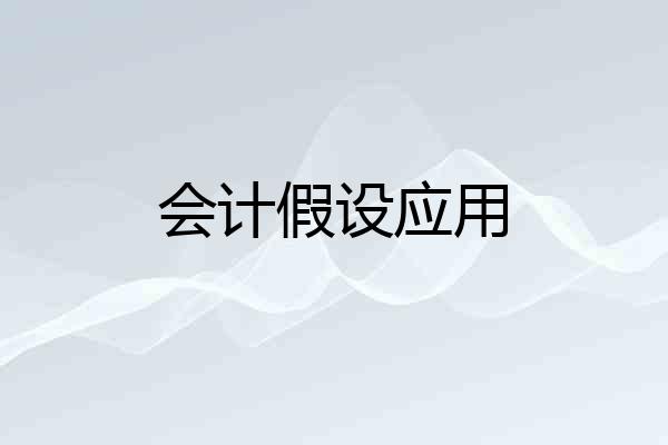 会计假设应用