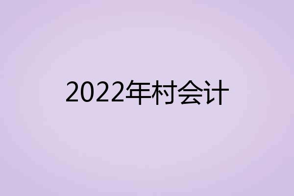 2022年村会计