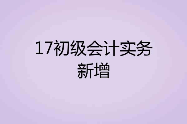17初级会计实务新增