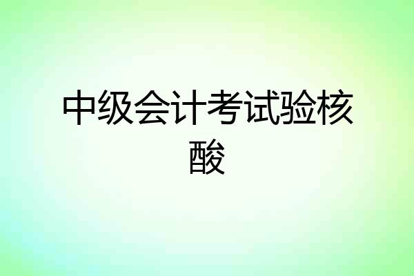 中级会计考试验核酸