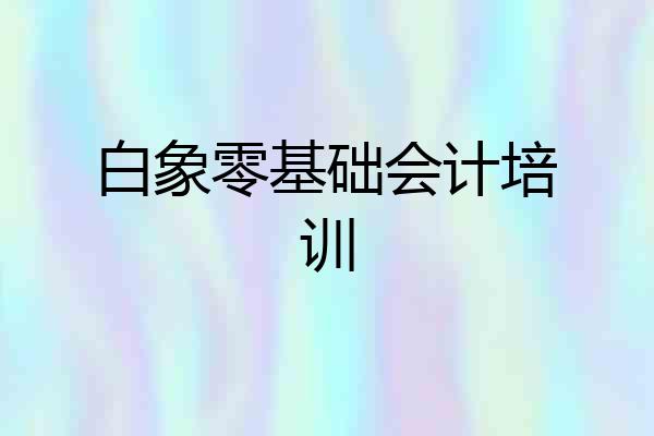 白象零基础会计培训
