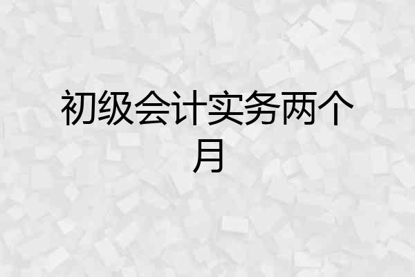 初级会计实务两个月