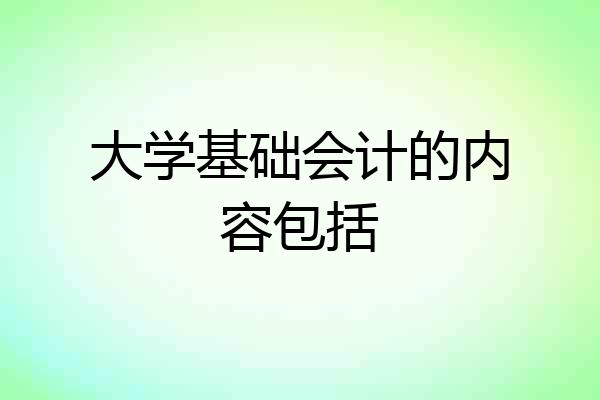 大学基础会计的内容包括