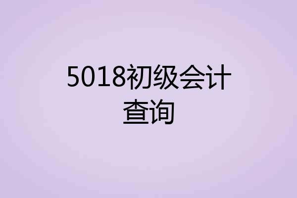 5018初级会计查询