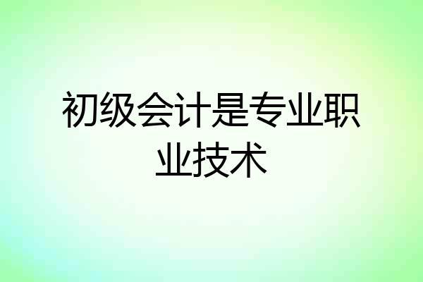 初级会计是专业职业技术
