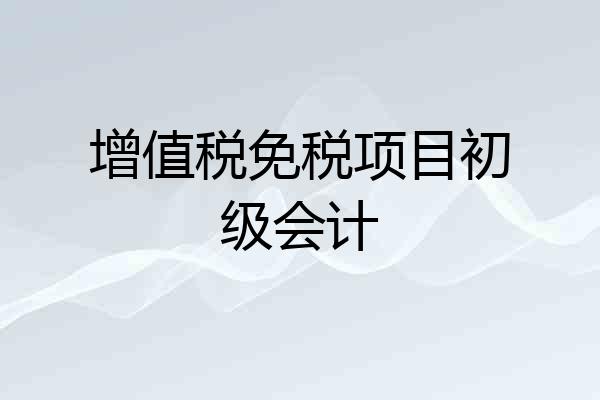 增值税免税项目初级会计